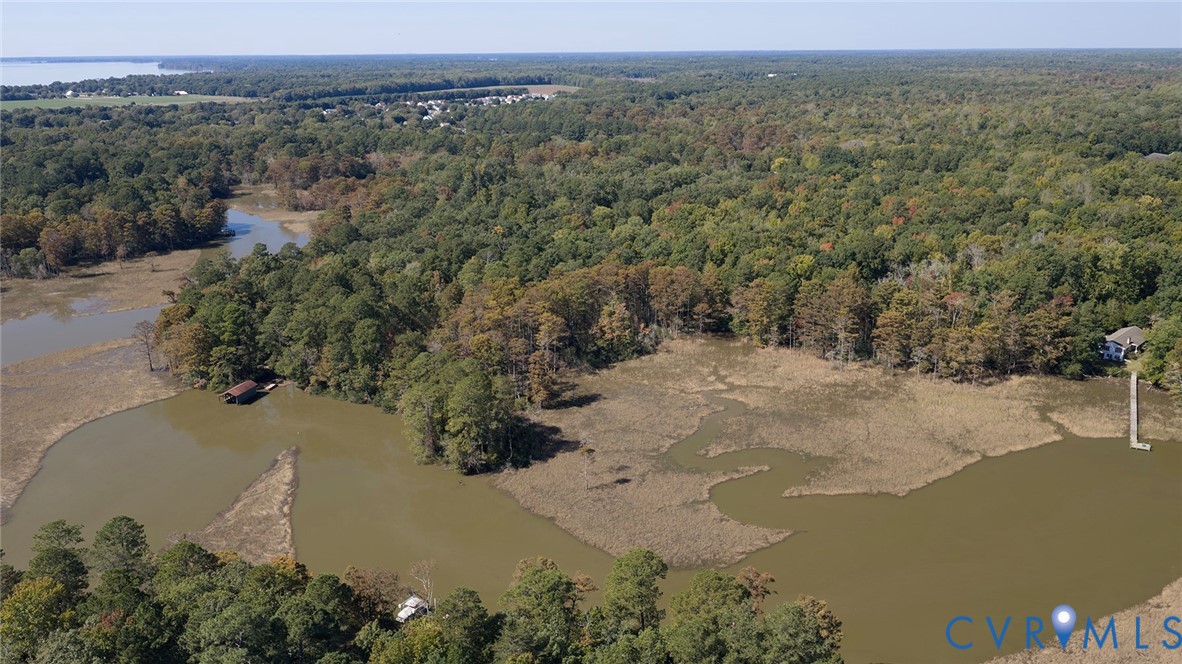 Aerial perspective of waterfront acreage featuring wooded terrain, marshland, and a private dock
