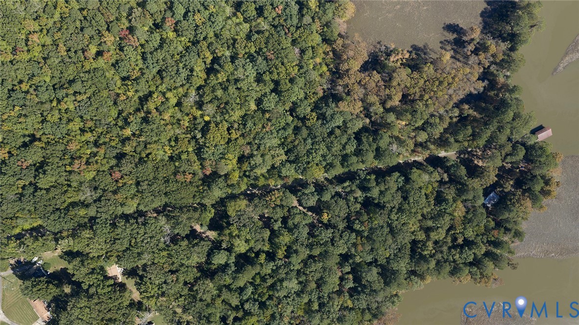 Aerial perspective of a heavily wooded lot featuring extensive shoreline, natural forest canopy, and direct water access Aerial perspective of a heavily wooded lot featuring extensive shoreline, natural forest canopy, and direct water access