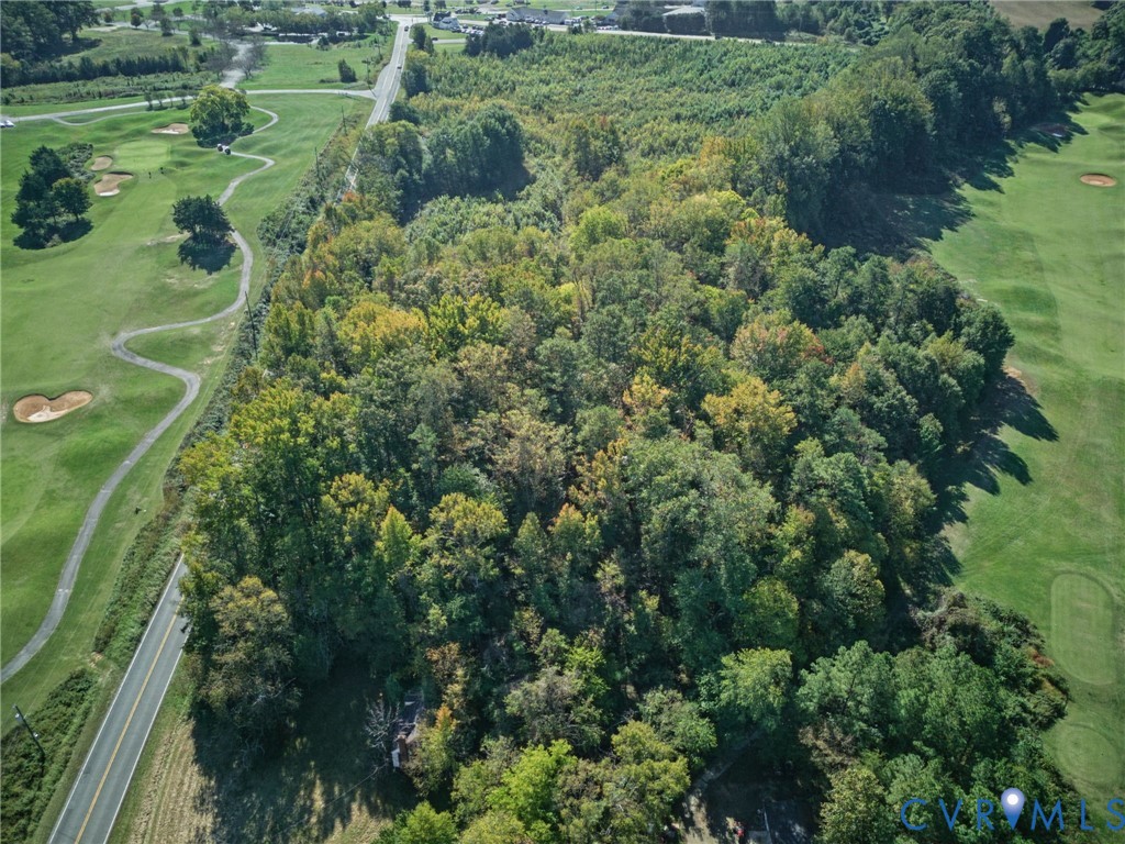 Expansive parcel featuring mature woodland, dense foliage, and direct road frontage