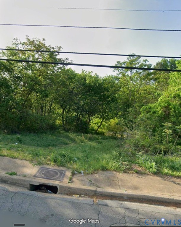 Vacant lot featuring cleared terrain, native ground cover, and dense mature tree growth
