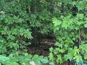 Wooded grounds featuring mature trees and established natural vegetation