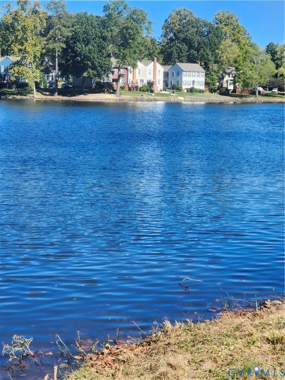 Waterfront property featuring natural shoreline, mature tree canopy, and established riparian landscape