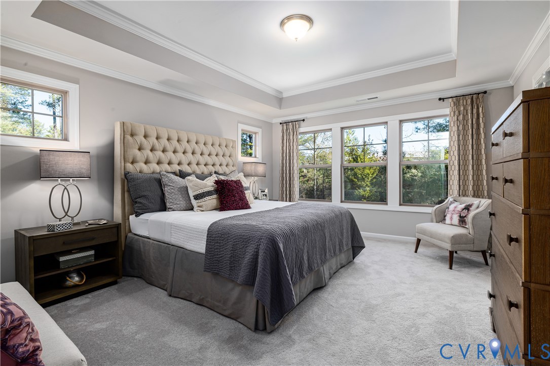17324 Elixir Court, Moseley, VA 23120