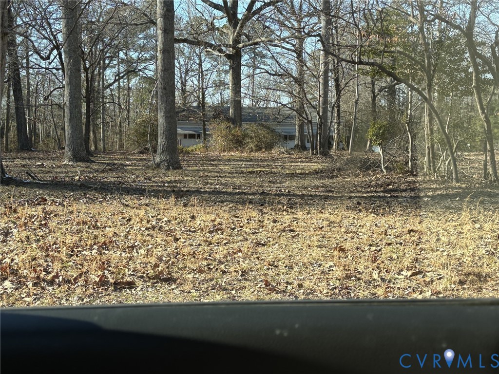 Expansive lot featuring mature hardwood trees and a natural, wooded landscape