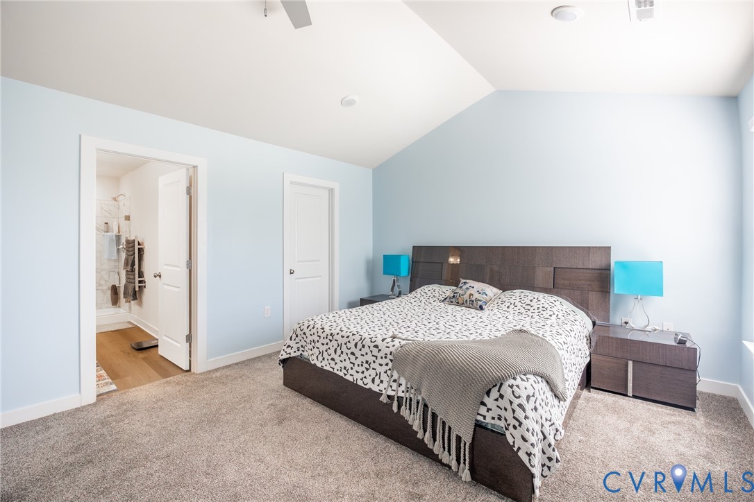 Neutral-toned interior space featuring plush carpeting, dual windows with integrated blinds, and a central ceiling-mounted light fixture