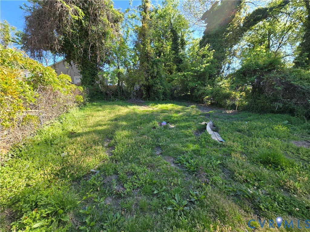 Expansive lot featuring mature trees and established perimeter foliage
