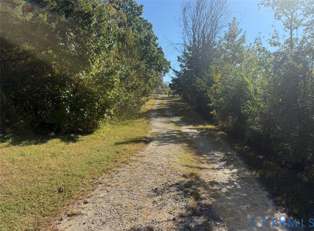 Gravel path flanked by mature trees and grass terrain