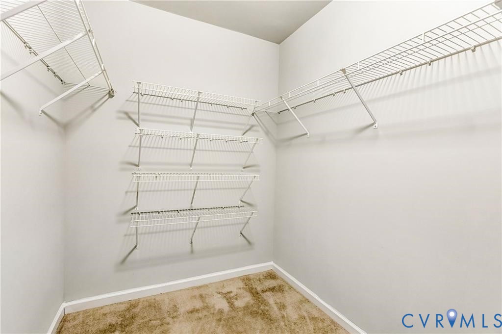 Spacious closet featuring carpet flooring