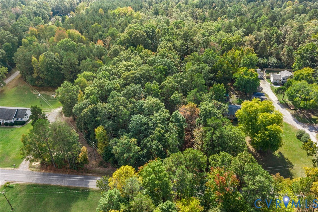 Expansive wooded parcel featuring mature trees and paved road frontage