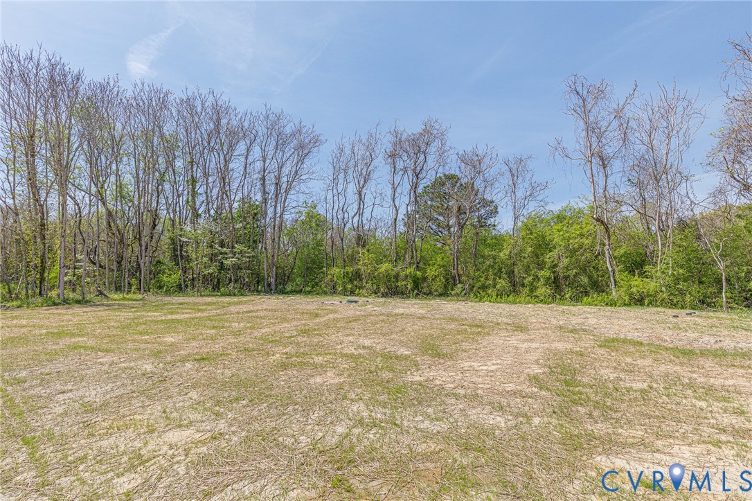 Expansive lot with a cleared, level area and a natural tree line providing a verdant backdrop