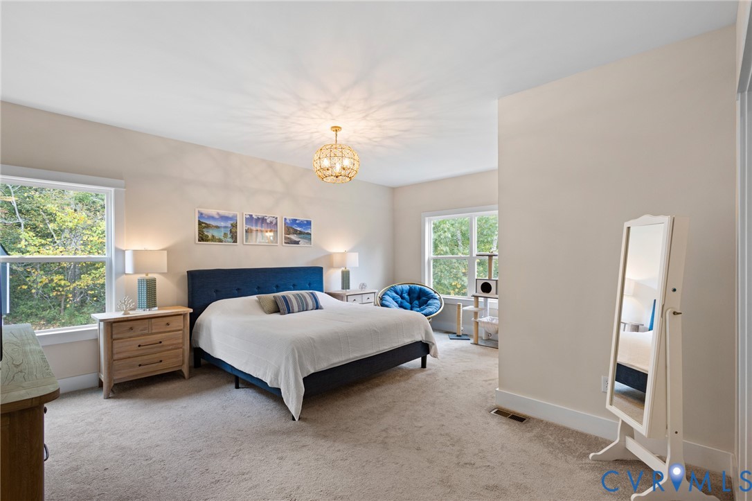 Spacious room featuring neutral carpeting, dual windows, and an orb-style light fixture
