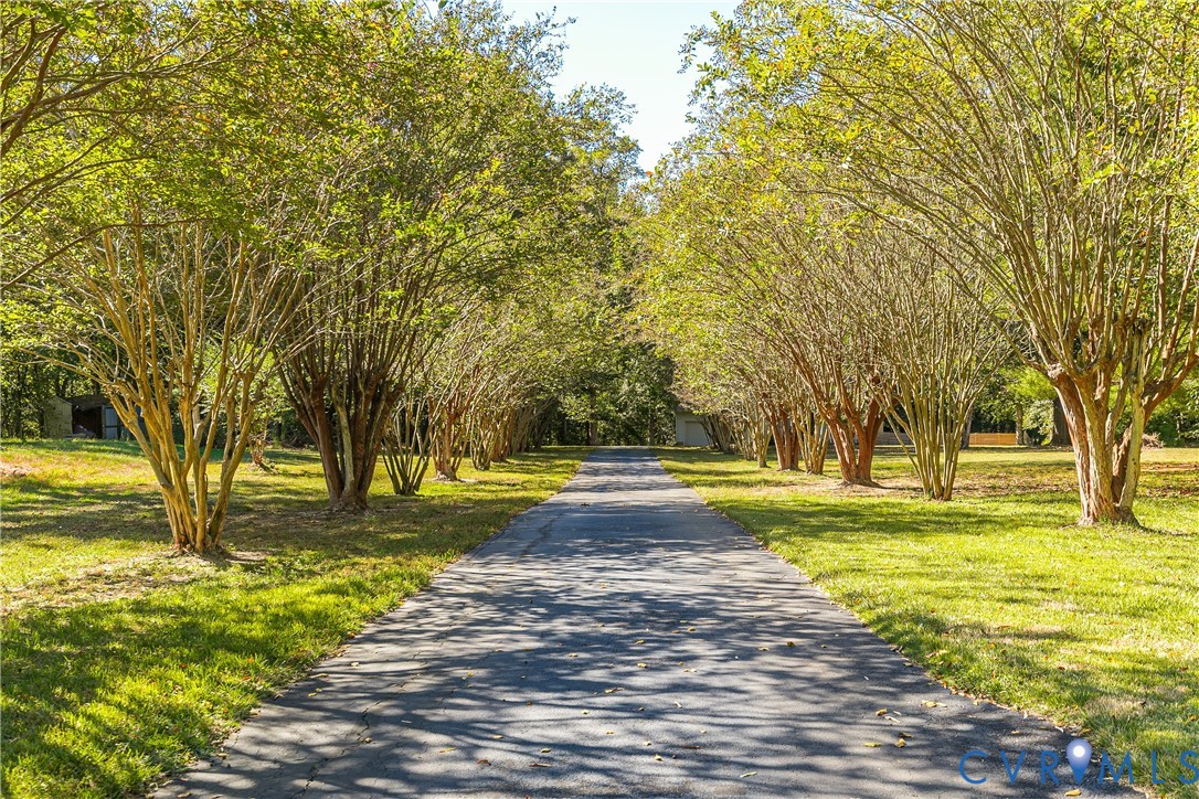 Paved driveway lined with mature canopy trees and manicured grounds