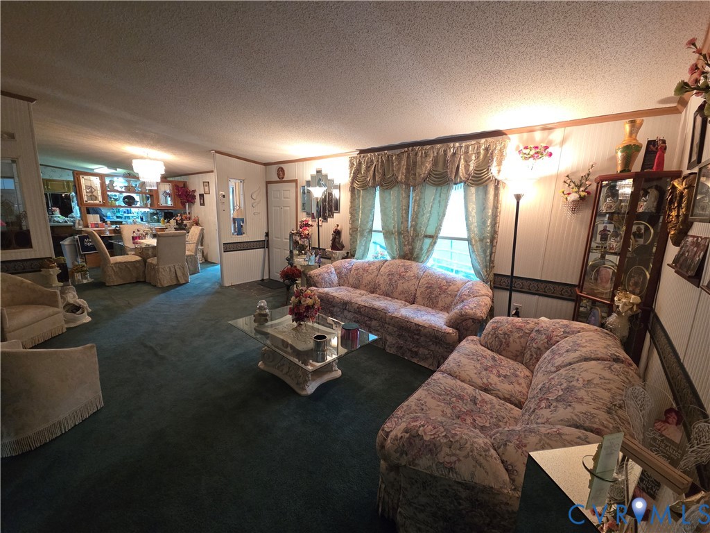 Living area featuring wall-to-wall carpeting, paneled walls, a built-in glass-front display cabinet, and a decorative partition wall