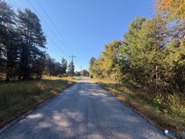 Asphalt road frontage bordered by mature deciduous and coniferous trees Asphalt road frontage bordered by mature deciduous and coniferous trees