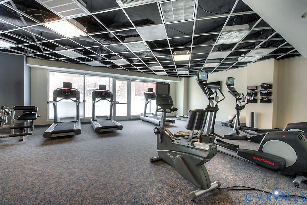 Fitness center featuring wall-to-wall windows, a dropped grid ceiling with integrated lighting, and commercial-grade carpeting