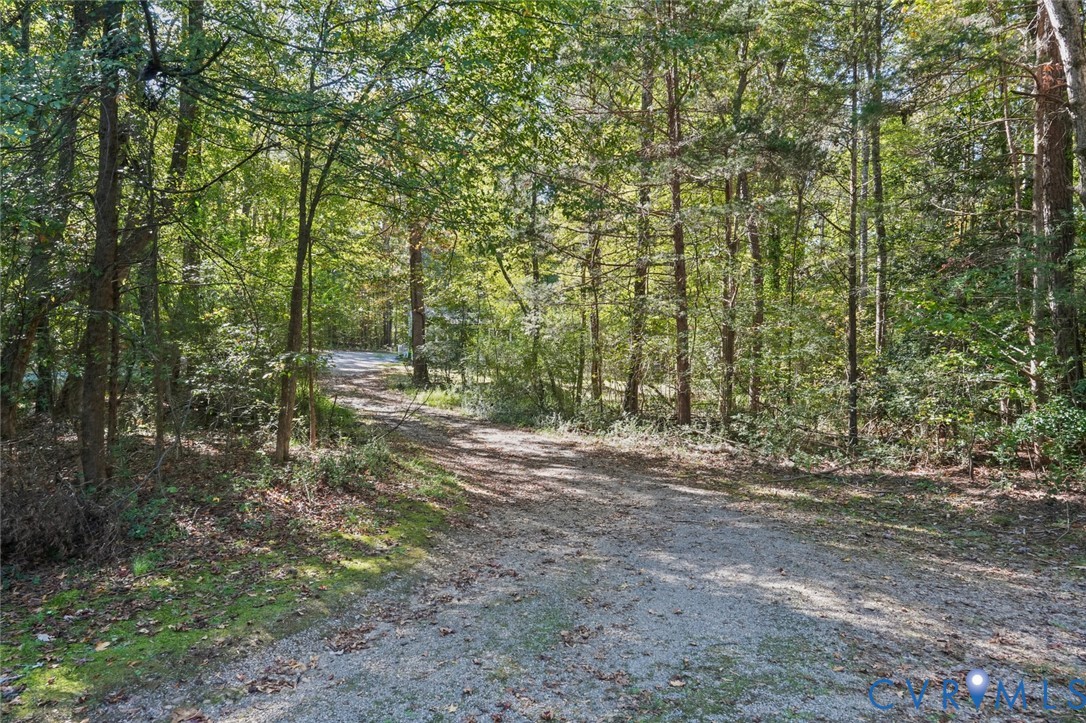 Gravel drive winding through a wooded landscape with mature deciduous and evergreen trees