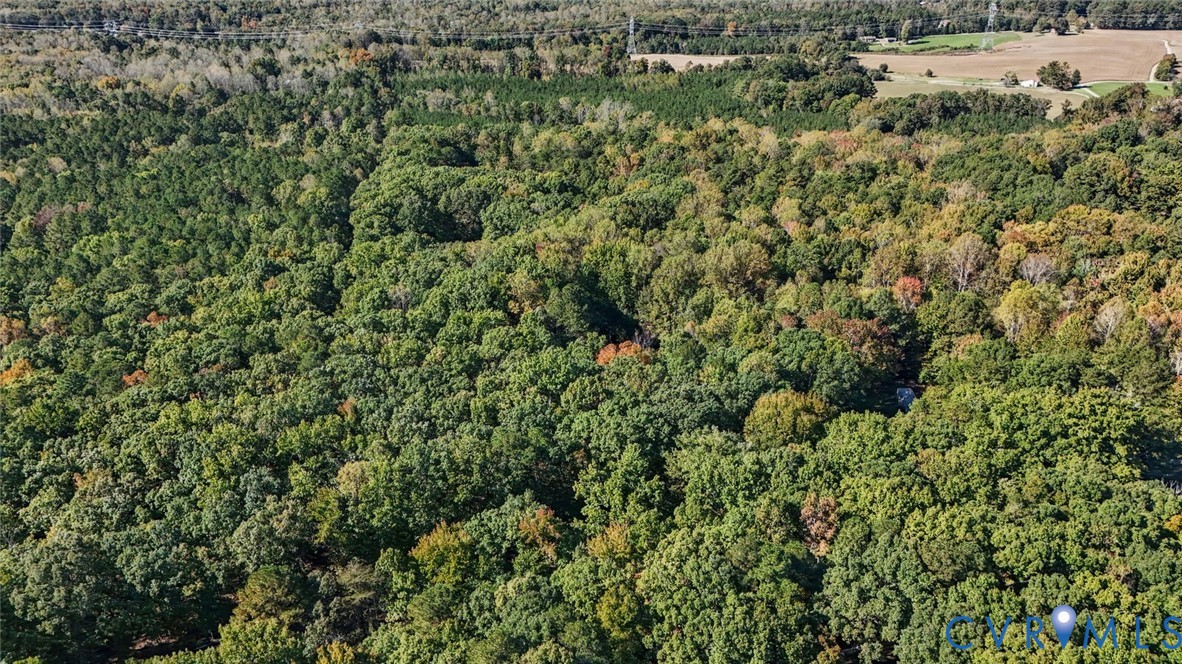 Extensive acreage featuring dense, mature tree coverage and rolling topography