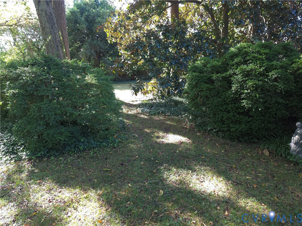 Expansive backyard featuring mature shade trees and established ornamental shrubbery