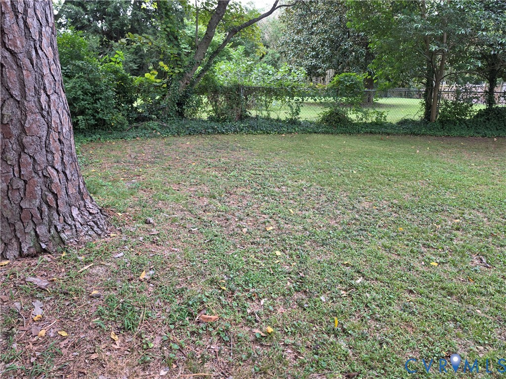 Expansive backyard featuring mature trees, ground cover, and chain-link fencing