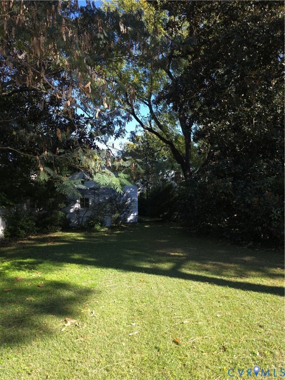 Expansive rear lawn featuring mature hardwood trees and shaded ground cover