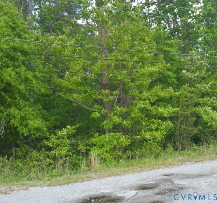 Wooded lot featuring mature hardwood trees and native vegetation