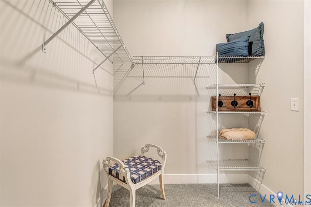 Storage area featuring white wire shelving, vertical hanging rack organization, and neutral carpeting