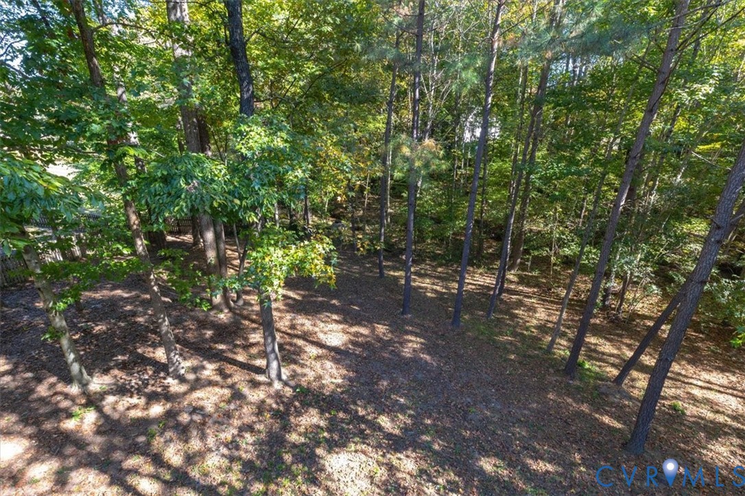 Expansive outdoor space featuring mature hardwood and pine trees with natural ground cover