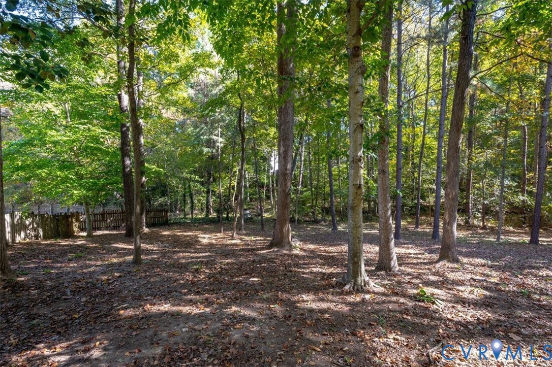 Expansive outdoor space featuring mature hardwood and pine trees with natural ground cover