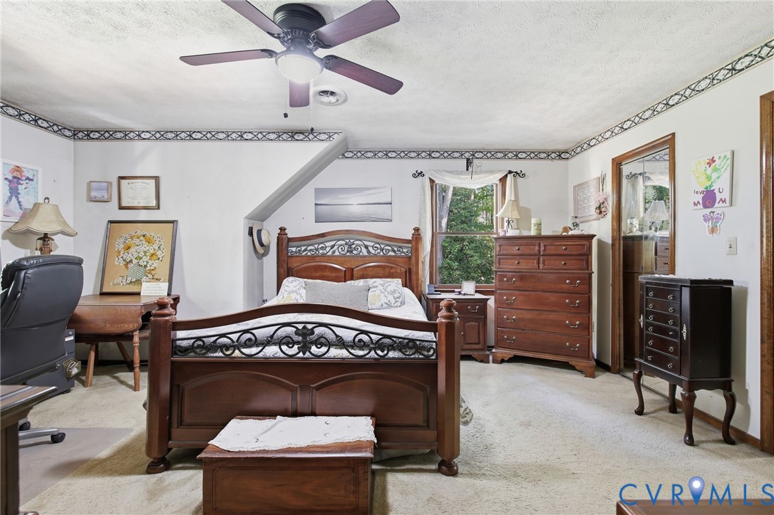 Ceiling fan with integrated lighting, wall-mounted decorative border, carpeted flooring, and single-pane window