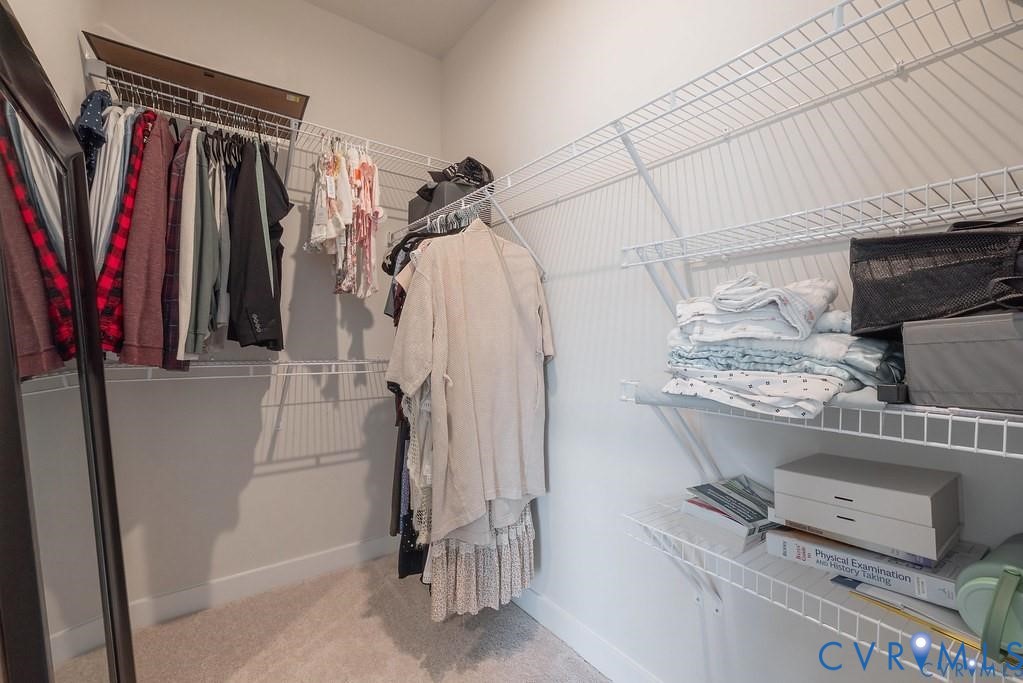 Walk-in closet featuring tiered white wire shelving and wall-to-wall carpeting