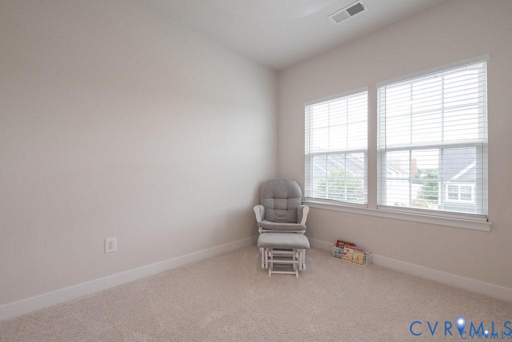 Room featuring neutral carpeting, light-toned wall paint, and dual windows with horizontal blinds