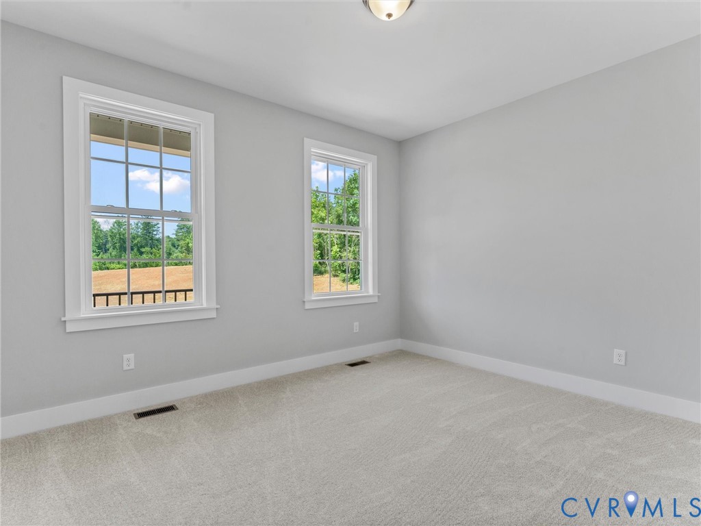 Neutral interior room featuring plush wall-to-wall carpeting, dual double-hung windows with colonial grilles, and a ceiling-mounted light fixture