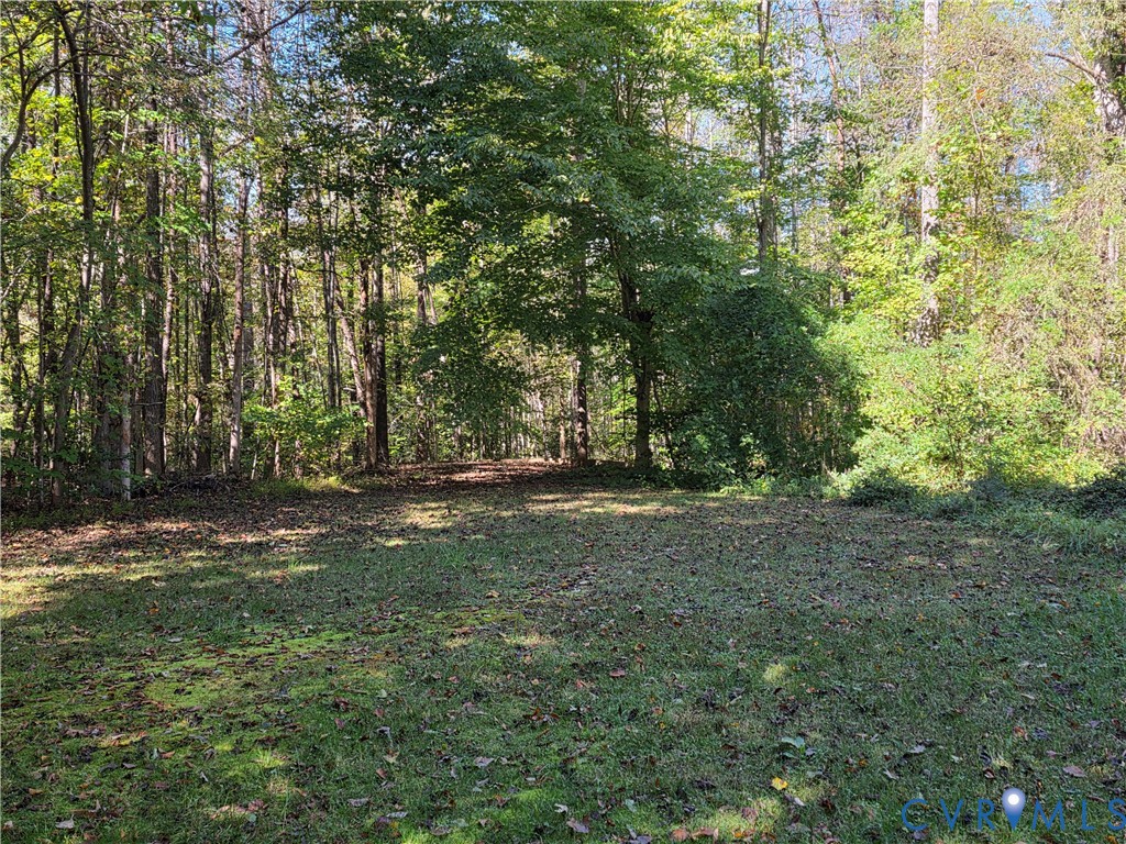 View from Front Porch
