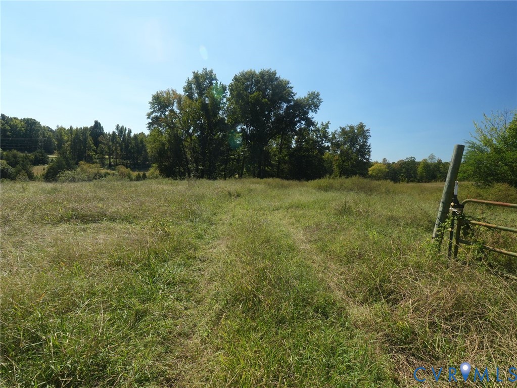 Expansive acreage featuring rolling meadow terrain, clusters of mature hardwood trees, and metal fencing Expansive acreage featuring rolling meadow terrain, clusters of mature hardwood trees, and metal fencing