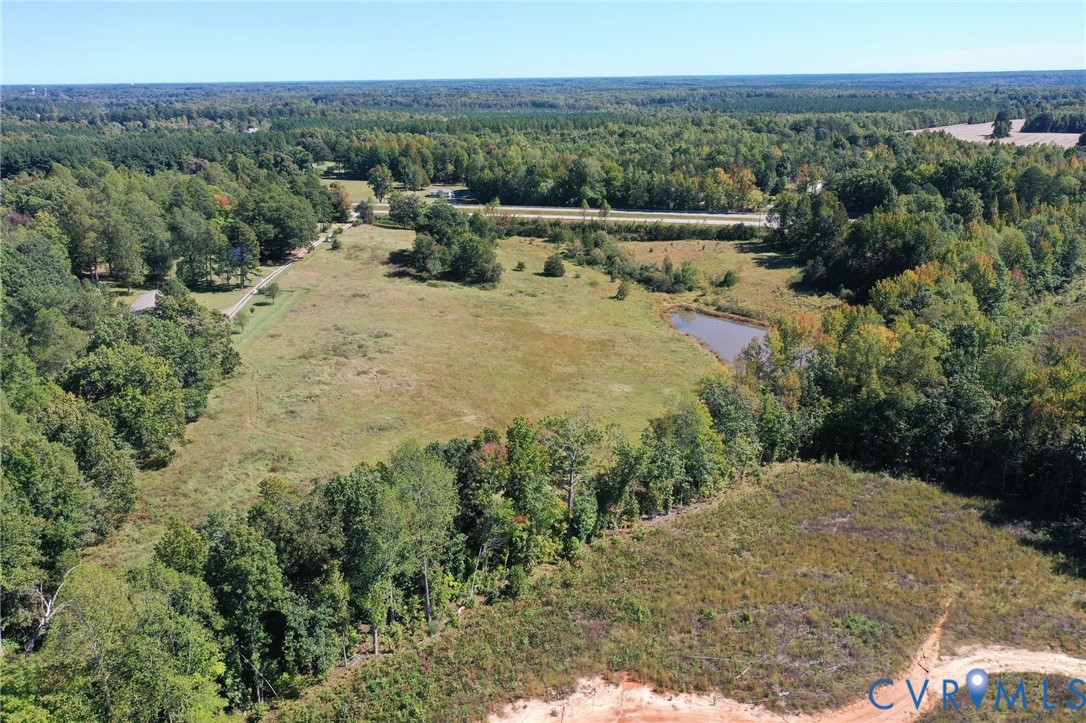 Expansive acreage featuring cleared pasture, mature tree lines, and a natural pond Expansive acreage featuring cleared pasture, mature tree lines, and a natural pond