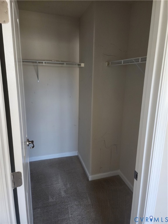 Storage space featuring wall-to-wall carpeting and installed wire shelving
