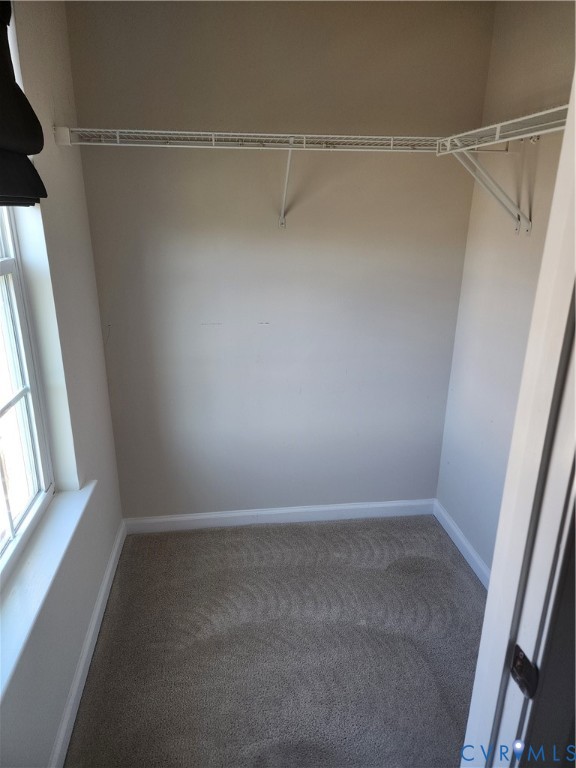 Reach-in storage space featuring neutral carpeting, a single-tier wire shelving system, and a window with natural lighting