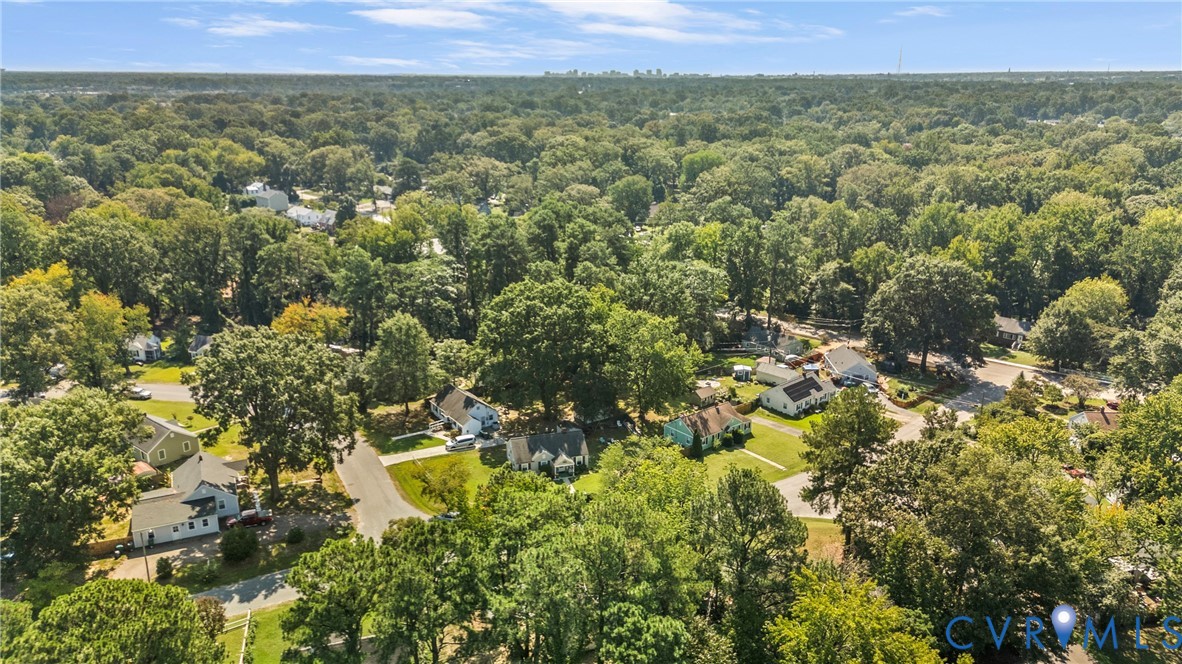 Lush tree canopy surrounding residential properties