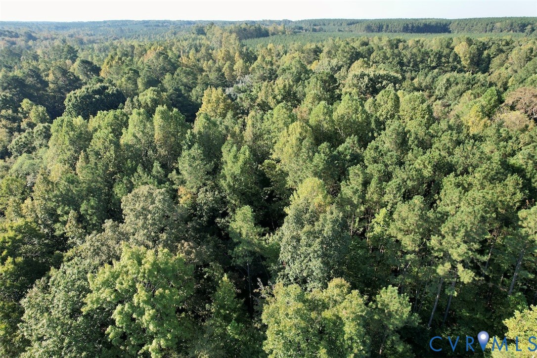 1079 W Entrance Road, Blackstone, VA 23824