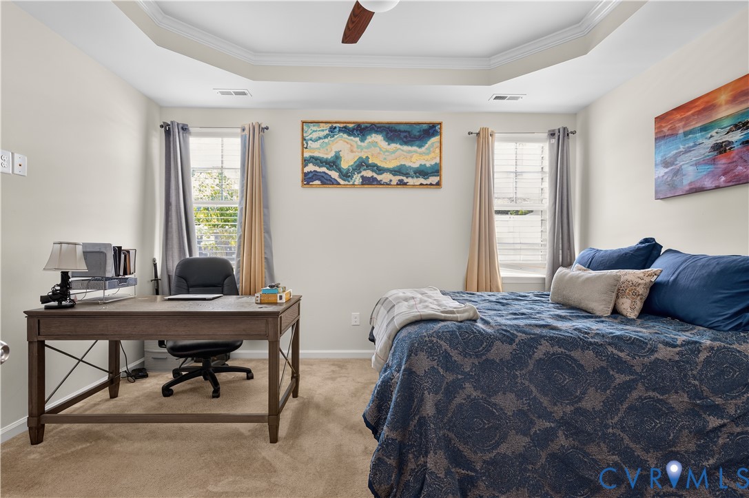 Room featuring a tray ceiling, ceiling fan, carpeting, and dual windows with window treatments