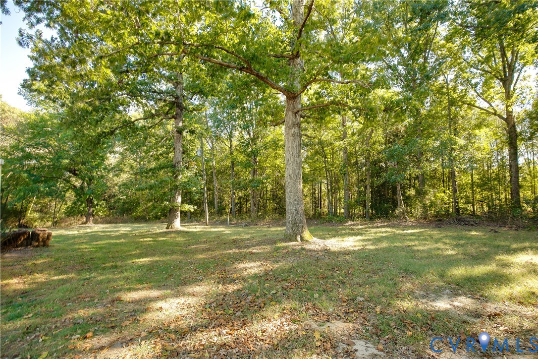 Expansive lot featuring mature trees and established greenery