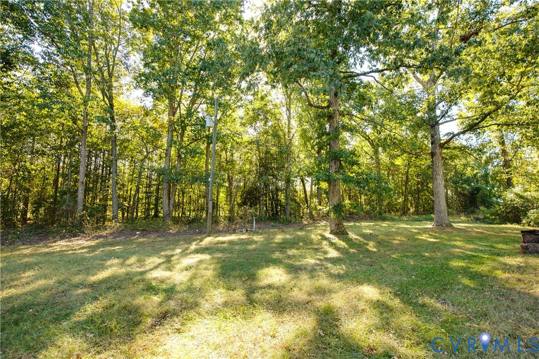 Expansive backyard featuring a grass lawn and mature trees