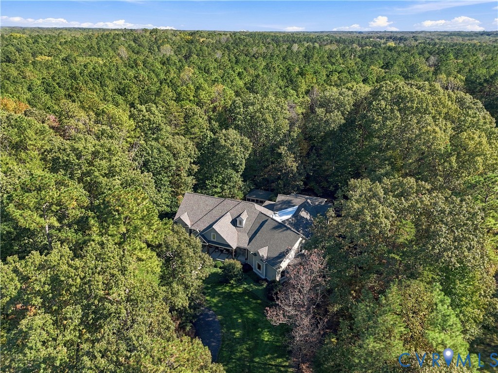 Aerial perspective featuring a multi-gabled roofline, sprawling woodland lot, and extensive mature tree canopy