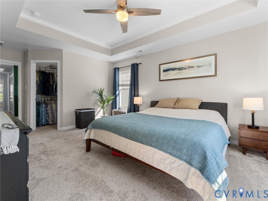 Neutral-toned room featuring a tray ceiling, wall-to-wall carpeting, and a walk-in closet with built-in shelving