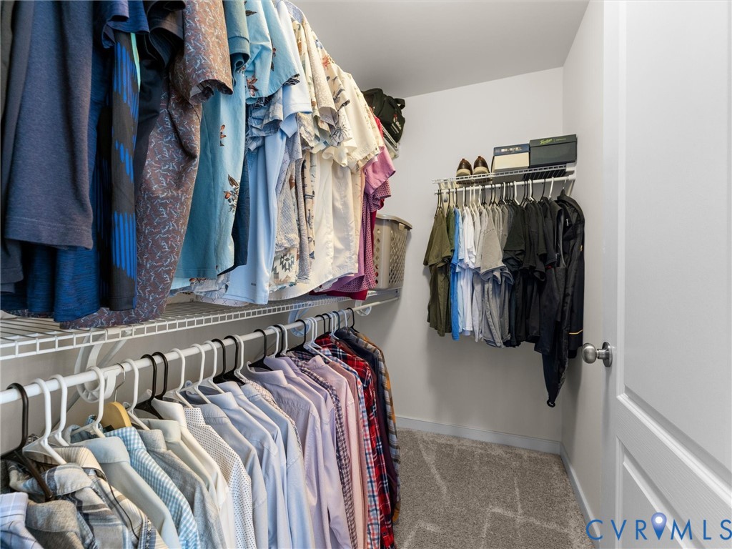 Walk-in closet featuring multi-level white wire shelving and carpeting