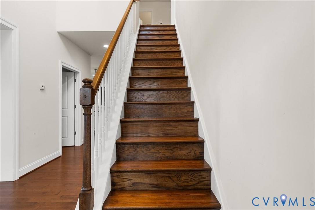 HWD Floors