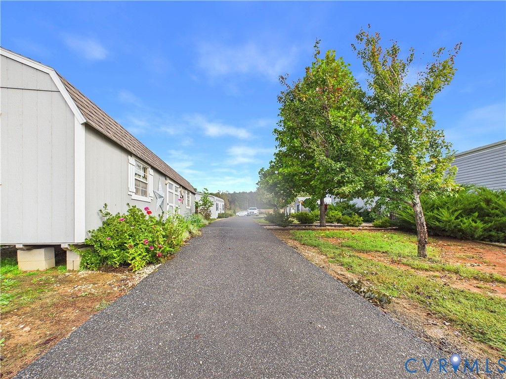 Asphalt driveway flanked by mature trees and landscaped shrubbery