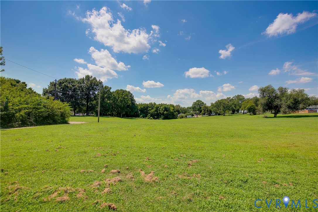 Expansive open lot featuring level topography and mature perimeter trees