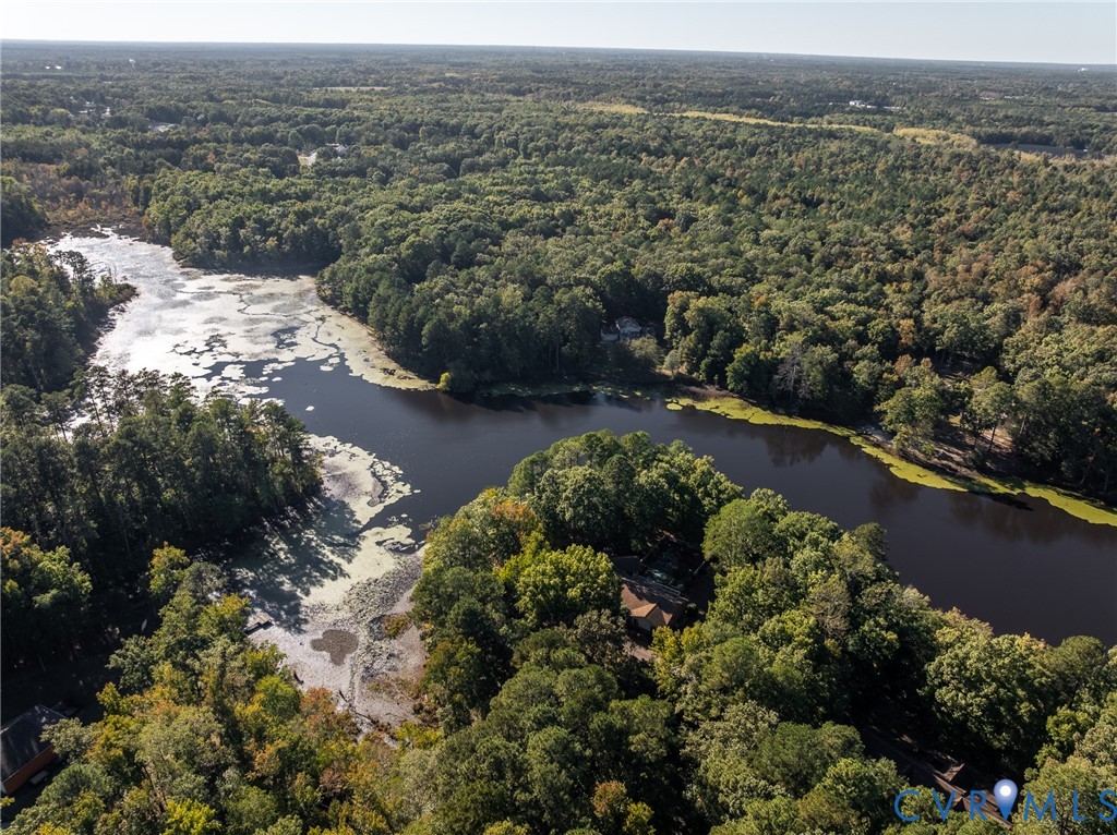 Aerial perspective of a sprawling wooded lot featuring direct waterfront access and dense mature timber