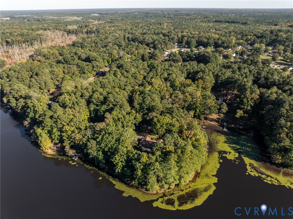 Waterfront property featuring extensive wooded acreage, natural shoreline, and secluded grounds